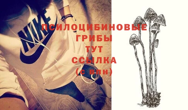 стафф Балахна
