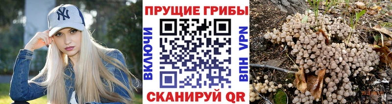 купить наркоту  Коммунар  мега рабочий сайт  Псилоцибиновые грибы ЛСД 