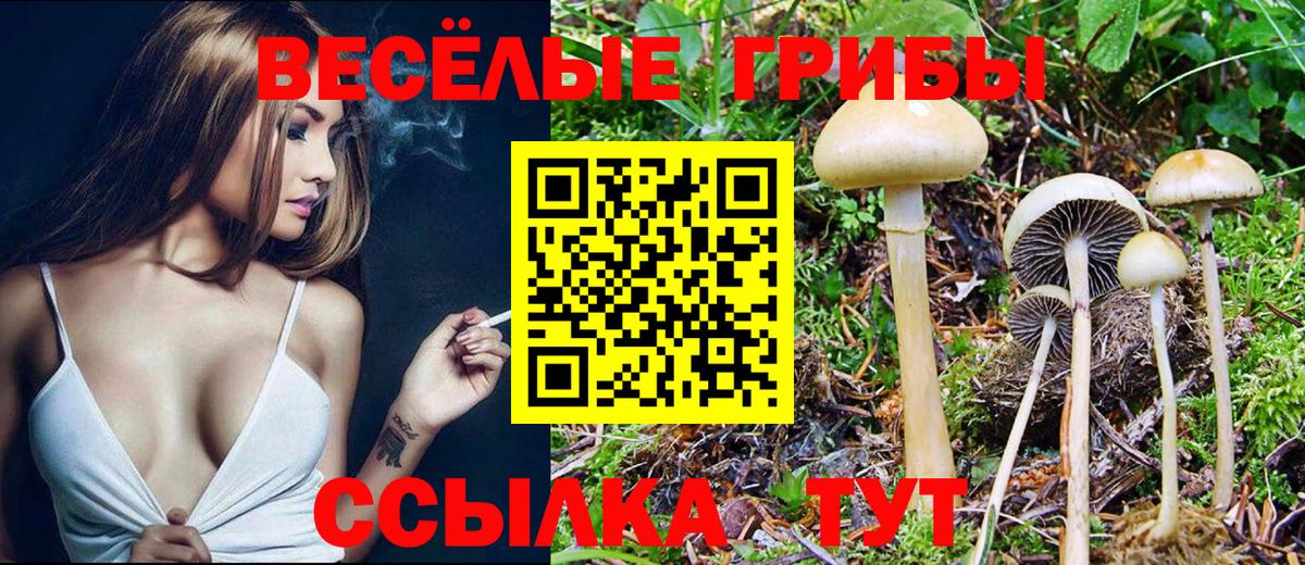 Галлюциногенные грибы прущие грибы Коммунар