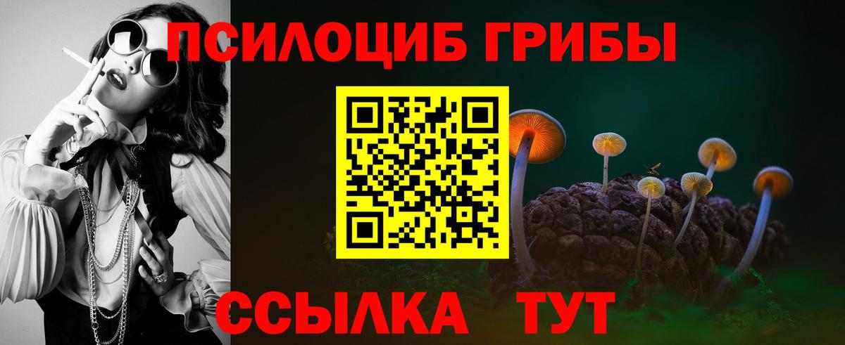 Галлюциногенные грибы MAGIC MUSHROOMS  Вход с VPN  Коммунар 